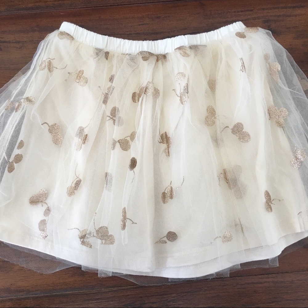 Crewcuts tulle skirt!